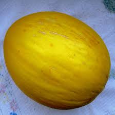 MELONE AMARILLO GIALLO ORO 1 Pacchetto